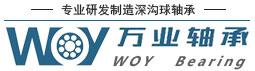 Shandong WOY Bearing Co., Ltd.
